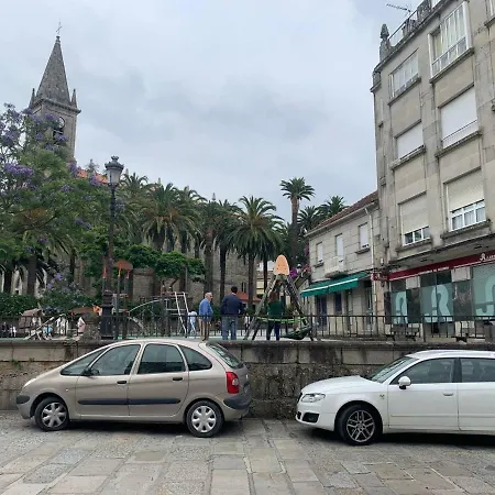 Oliva Caldas De Reis