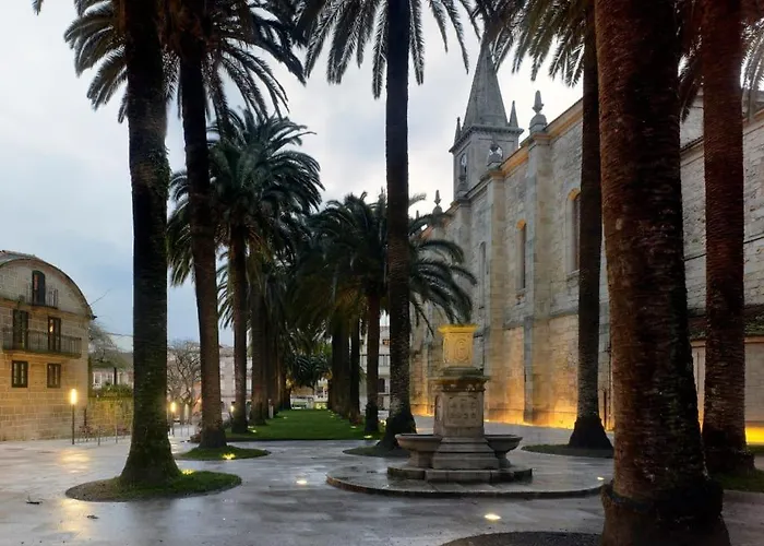 Oliva Caldas de Reis